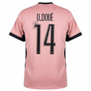 Paris Saint-Germain Jordan Third Fan Jersey 2024/25