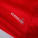 Benfica Home Fan Jersey 2024/25 Patches UCL UEFA Foundation (Official Printing)