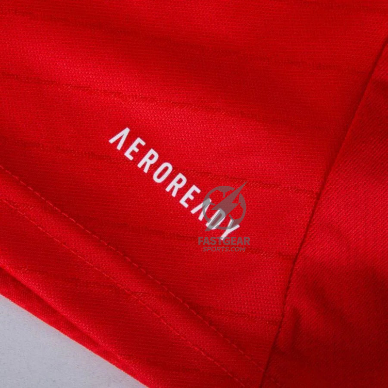 Benfica Home Fan Jersey 2024/25 Patches UCL UEFA Foundation (Official Printing)