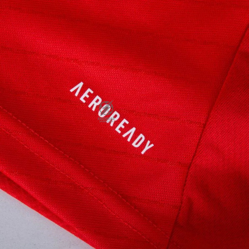 Benfica Home Fan Jersey 2024/25 Patches UCL UEFA Foundation (Official Printing)