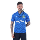 Palmeiras GK 2 Jersey 2024/25