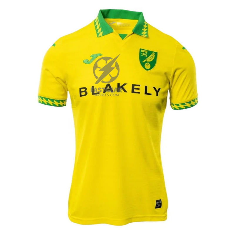Norwich City Home Fan Jersey 2025/26