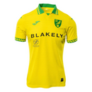 Norwich City Home Fan Jersey 2025/26