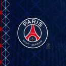 PSG Home Authentic Player 2025/26 Dri-Fit ADV Match