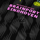 PSV Eindhoven Fan Jersey Pre-Match Away 2024/25 Patches UCL UEFA Foundation (Official Printing)