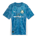 Palmeiras GK Home Fan Jersey 2025/26