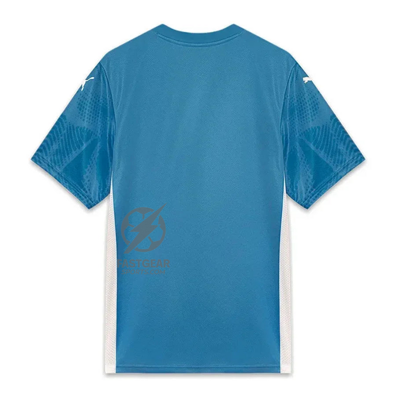 Palmeiras GK Home Fan Jersey 2025/26