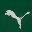 Palmeiras Home Fan Jersey 2025/26