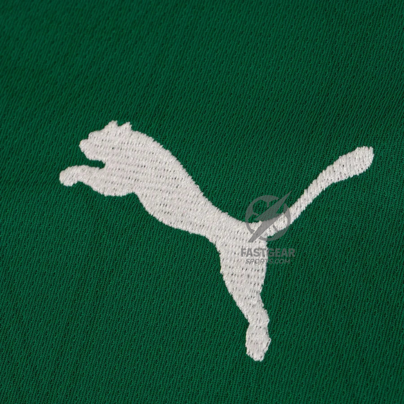 Palmeiras Home Fan Jersey 2025/26