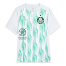 Palmeiras Pre Match Fan Jersey 2025/26