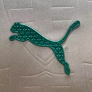 Palmeiras Third Player Jersey 2024/25