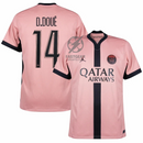 Paris Saint-Germain Jordan Third Fan Jersey 2024/25