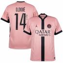 Paris Saint-Germain Jordan Third Fan Jersey 2024/25