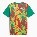 Senegal Pre-Match Fan Jersey 2024/25